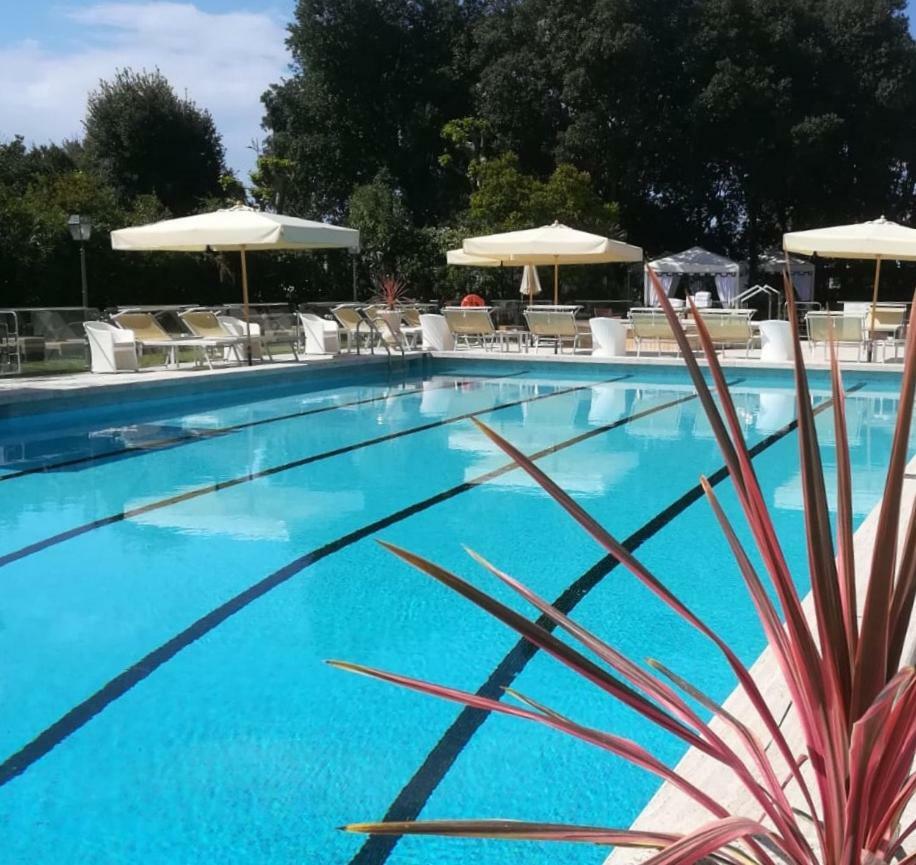 Park Hotel Villa Ariston Lido di Camaiore Eksteriør billede